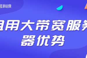 长期服务器租用合同：锁定更低的费率并节省成本 (长期服务器租用)