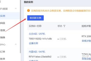 服务器租用规模的成本影响：大与小之间的权衡 (服务器租用规则最新)