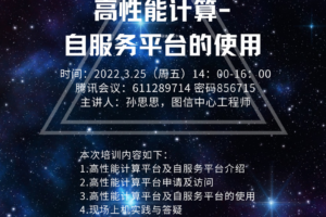 自建服务器：打造完全自定义的解决方案，满足您的特定需求 (自建服务器如何让外网访问)