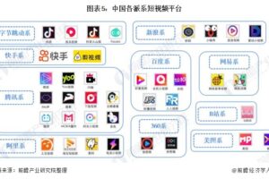 短视频平台服务器运维实战：保障平台7×24稳定运行 (短视频平台服务器成本)
