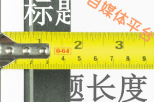 长标题 5：饥荒专用服务器定价：按地区比较和提供商分析 (长标题格式样板)
