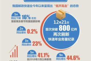 行业见解：普洱服务器显卡市场专家分析 (普???)
