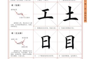 初学者指南：了解服务器租赁并找到最佳交易 (初学者指南)