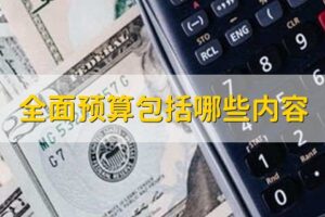 预算有限?普洱服务器显卡经济实惠的替代方案 (预算有限是什么意思)