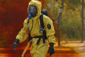 预算友好型服务器：经济实惠的解决方案，满足您的业务需求