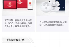 定制g口服务器成本：为您的特定需求定价 (定制服务口号)