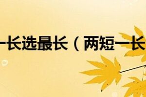 长标题 1：揭秘饥荒专属服务器的具体定价和费用结构 (长标题的格式)