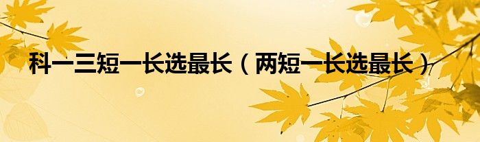 长标题的格式
