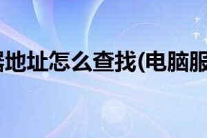 服务器地址位数的故障排除技巧：诊断和解决网络问题 (服务器地址位于美利坚)