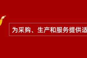 服务器采购技巧：降低成本并获得最佳价值 (服务器采购技术服务要求)