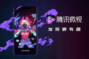 短视频平台服务器选择策略：关注性能、稳定性和性价比 (短视频平台服务器多大的)