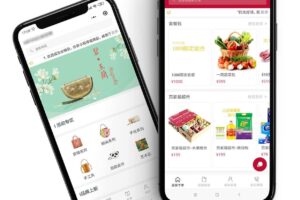 小程序开发者必备：如何为您的应用程序选择正确的服务器 (小程序开发者制作)