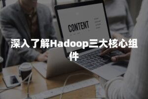 深入了解：影响美国云服务器价格的因素 (深入了解影像病例内容)
