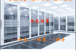 服务器租赁与购买:哪种选择更适合您的预算? (服务器租赁是什么)