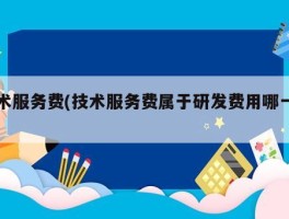 服务器年度费用