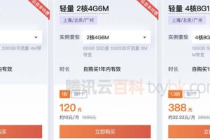 云服务器定价详解：从 IaaS 到 PaaS (云服务器定价方案)