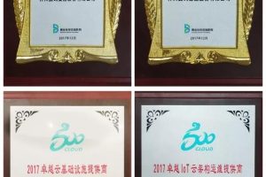 卓越的云服务器高可用性策略：保障业务连续性的关键指南 (卓越云客户端)