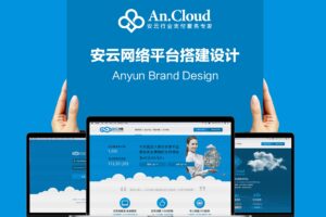 安溪服务器云端解决方案：费用可控，弹性十足