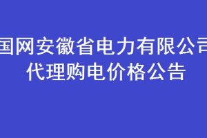 安徽服务器电源价格与采购决策：成本考量与业务策略的平衡 (安徽服务器地址)