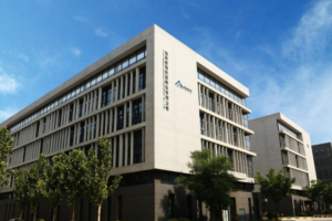 大型企业与小企业的服务器租赁成本差异 (大型企业与小型企业在战略管理过程)