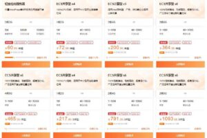云服务器定价策略：影响每月成本的因素 (云服务器定价标准)