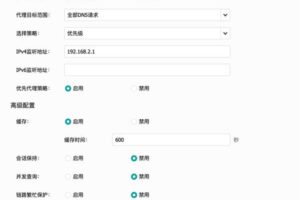 电信DNS服务器完整指南：掌握高速且可靠的互联网连接的关键 (电信DNS服务器地址)