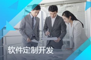 定制服务器租用：为您的独特需求找到最实惠的解决方案 (服务器租赁一般多少钱)