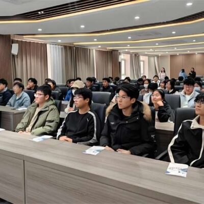 分步解读如何找到并连接服务器的IP地址