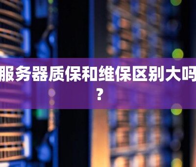 服务器维保等级标准的设定依据是什么？