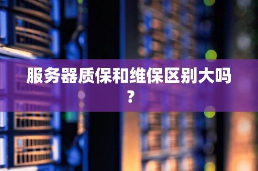 服务器维保等级标准的设定依据是什么