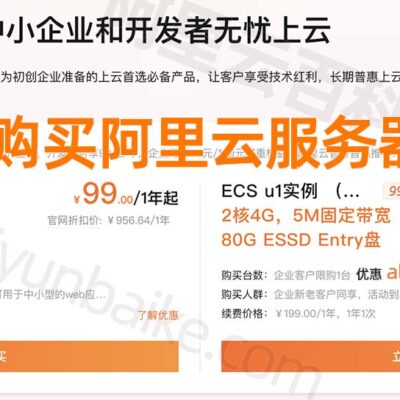 购买云服务器存储芯片时需要注意的价格问题