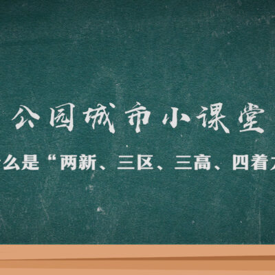 什么是三区高防服务器？