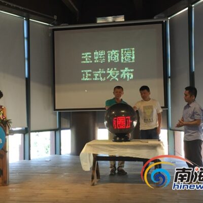 海南服务器市场概览
