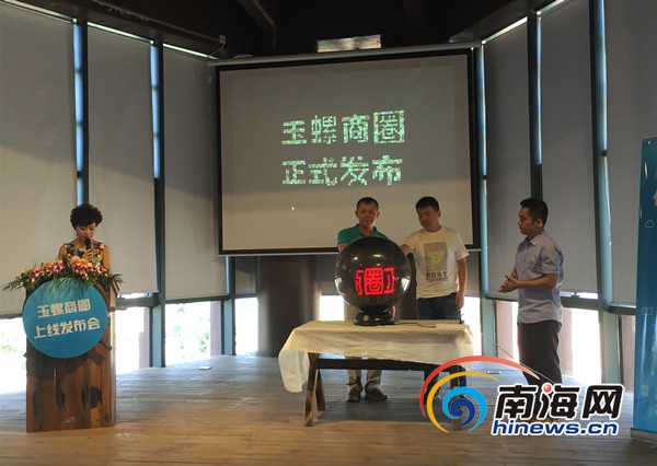 海南服务器市场概览
