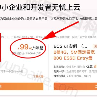 服务器价格年度概览：百兆服务器租金多少？