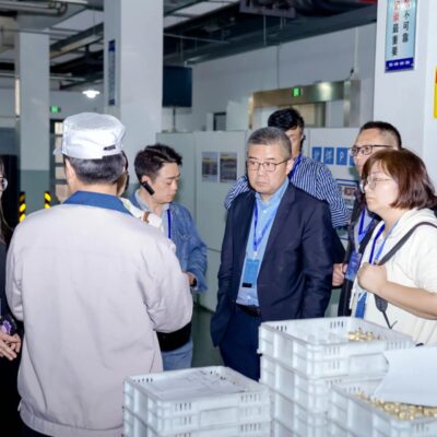 全面了解欧美服务器价格与人命币关系及详细费用解读》