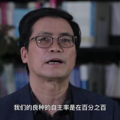 我们应如何看待游戏中的冲突事件？