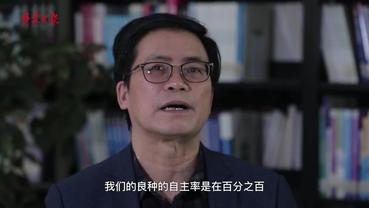 我们应如何看待游戏中的冲突事件