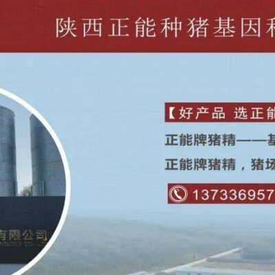 掌握最新报价