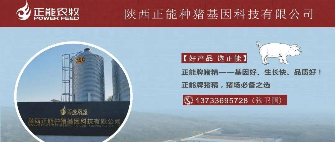 掌握最新报价
