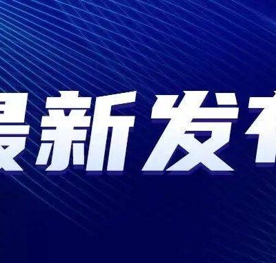 最新更新动态与版本详情大揭秘