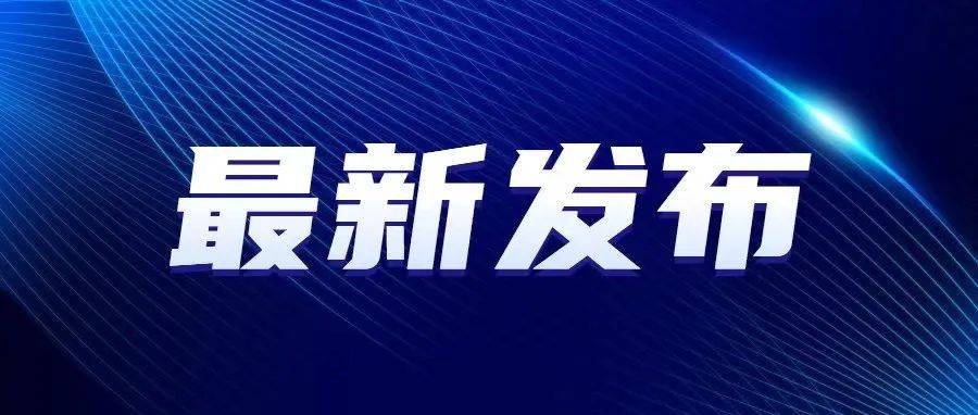 最新更新动态与版本详情大揭秘