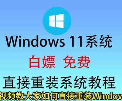 从哪里获取最新的dmf四开服务器报价？