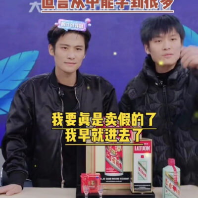 小哥探讨其限制与可能性