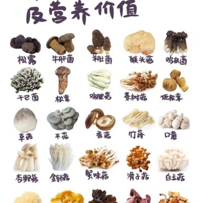 哪些时间点开启了新区服务器？