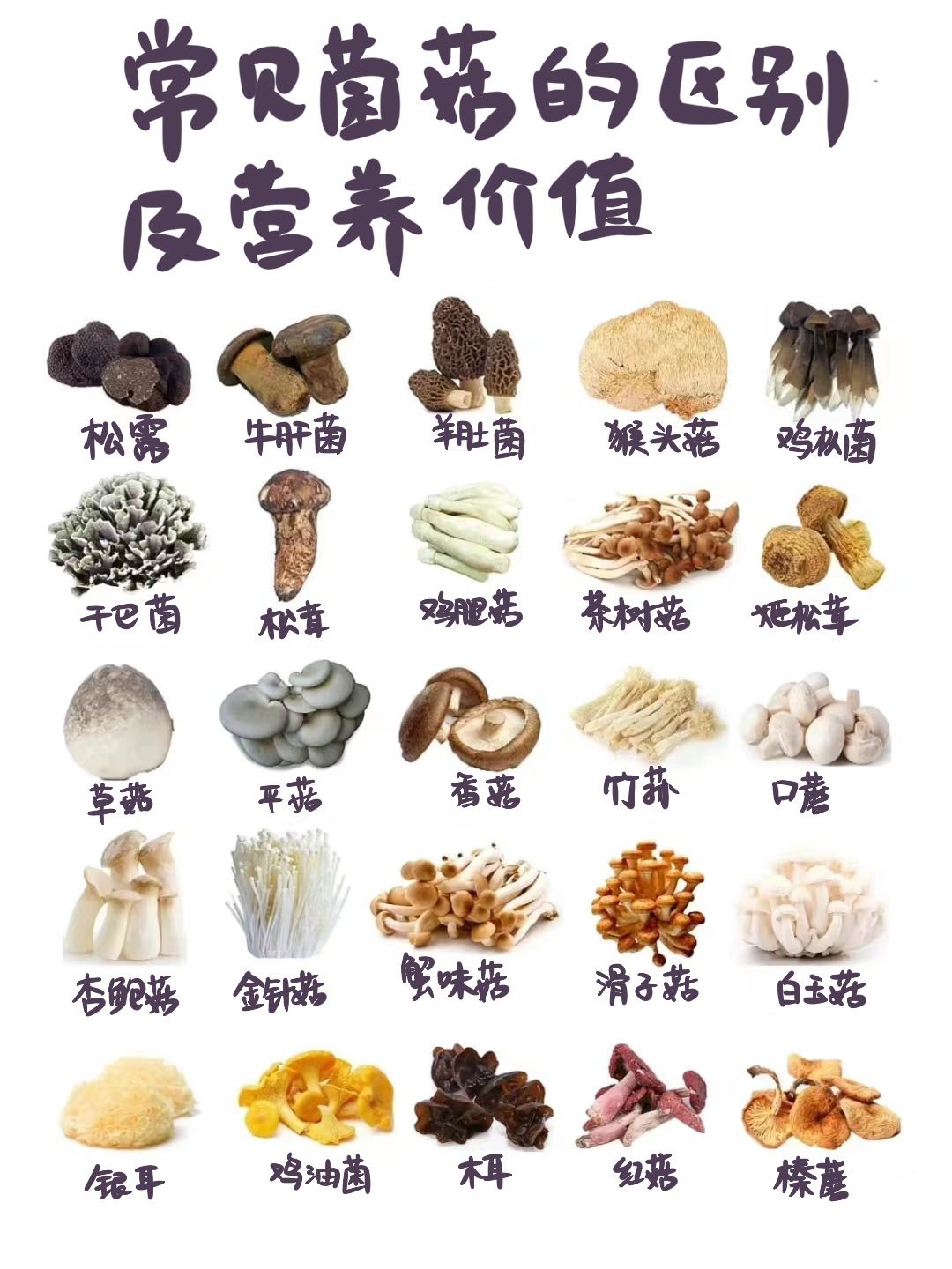 哪些时间点开启了新区服务器