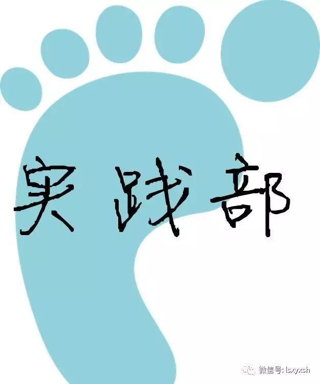 实践案例分享