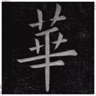 华大基因云引领未来医疗健康领域发展