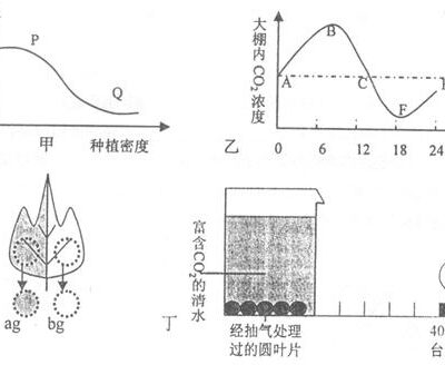 根据不同因素解析服务器清理费用。