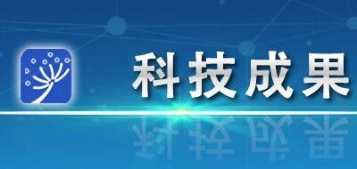前沿科技与教育领域的交汇点